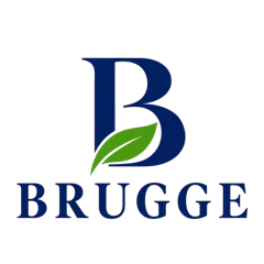 Brugge